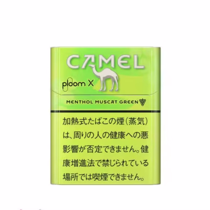 CAMEL駱駝